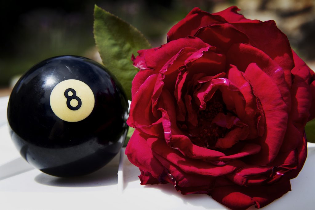 Romancing the 8 ball, love story, premium matchmakers
